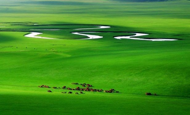 鲜牛奶常识,牛奶必须要知道的知识