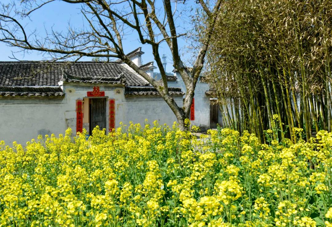 鍗冪櫨骞存潵缁忓吀鍙よ瘲,鍗冪櫨骞存潵鍙よ瘲