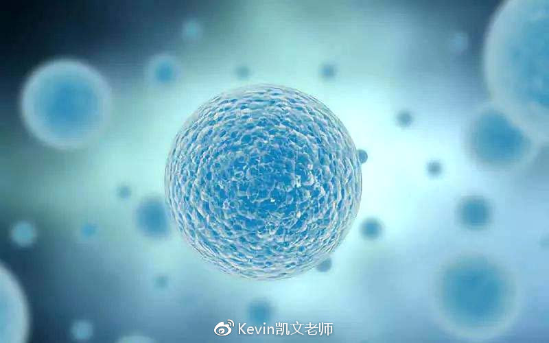 boz宝致皮肤解析,boz宝致为什么这么火