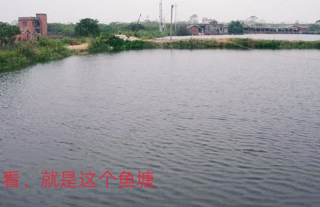 《五光十色》脱下品如衣服的爱莉和走边边的紫菱（一本正经搞笑）