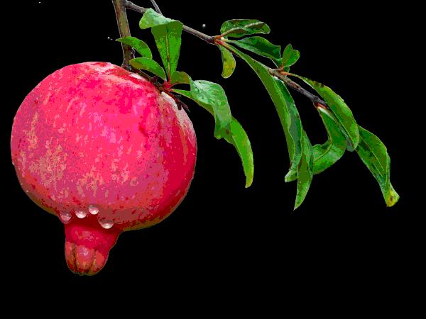 大年初五群相册，有群的都看看，太美了，这辈子见一次值了