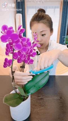 沉迷“花花世界”的41岁妈妈，她凭什么活得那么爽？