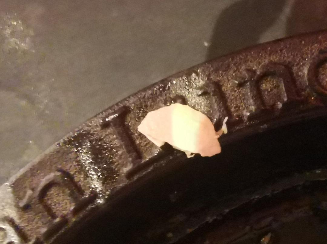 中国网红鼻祖市值,网红鼻祖dodolook现状