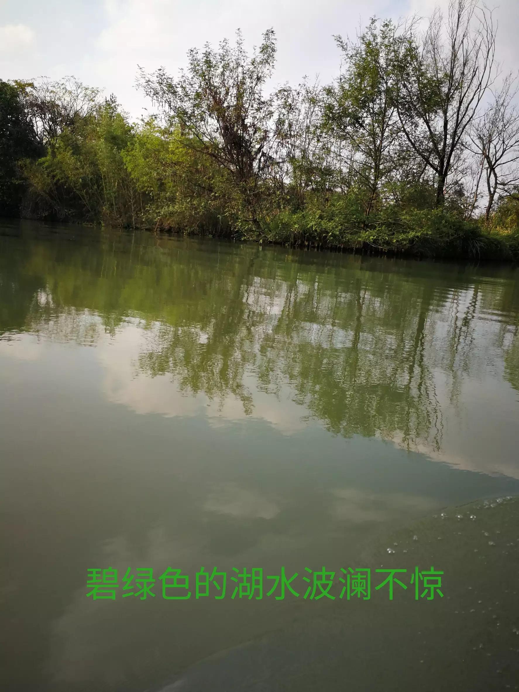 游览杭州西溪湿地,荡漾在四通八达的河道上,沁人心脾,一起看看