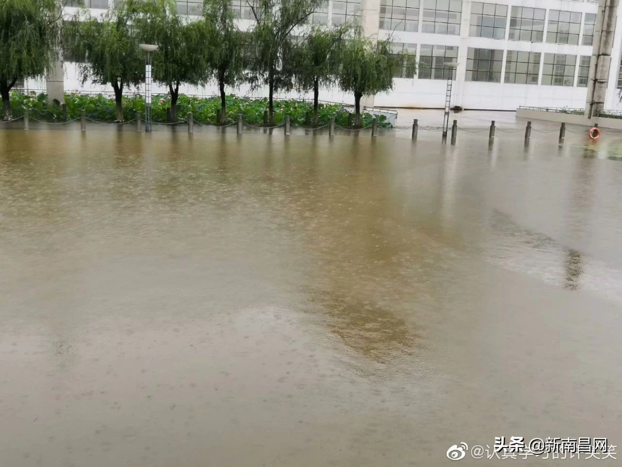 江西中医药大学回忆,现在的江西中医药大学