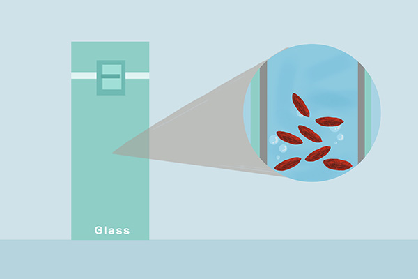 刮胡子影响人的寿命,刮胡子频繁影响寿命
