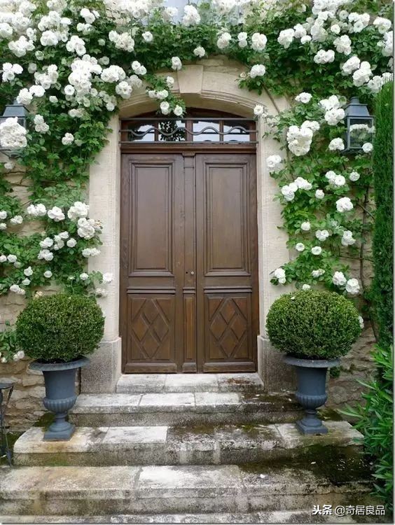 四季开花的庭院爬藤,庭院爬藤花期长哪种最好