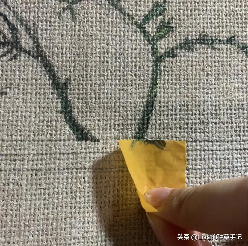 为啥有人买假的包,为什么不能拿假包