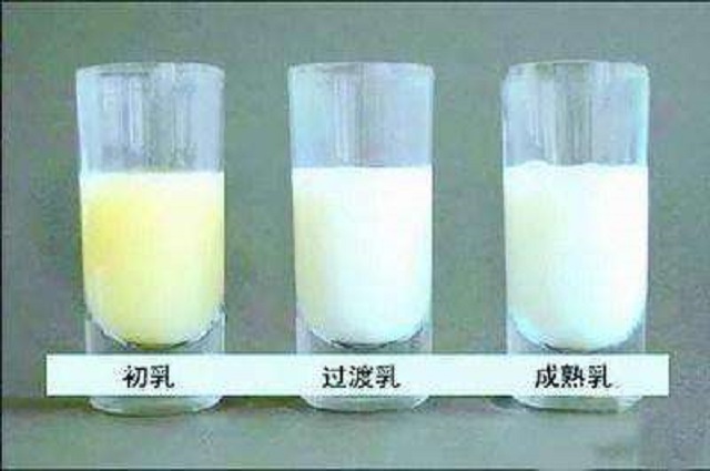 新生儿吃奶都会很用力吗,新生儿吃奶力度有吸奶器大吗