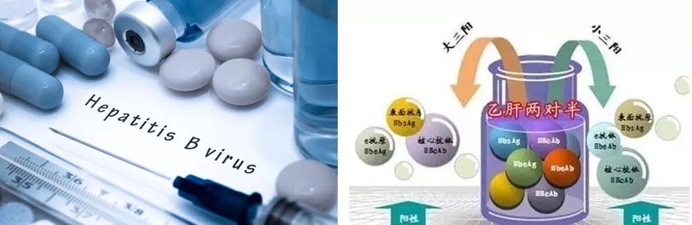 乙肝两对半15阳性,图文解读看懂乙肝两对半