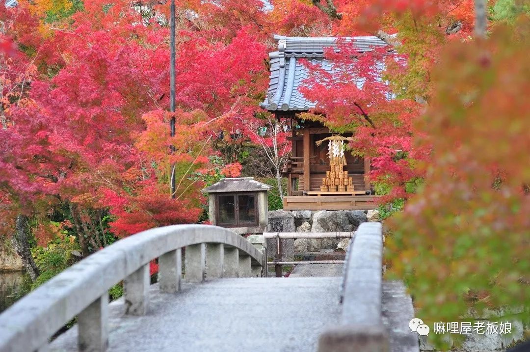 京都和大阪地理位置,京都奈良大阪位置