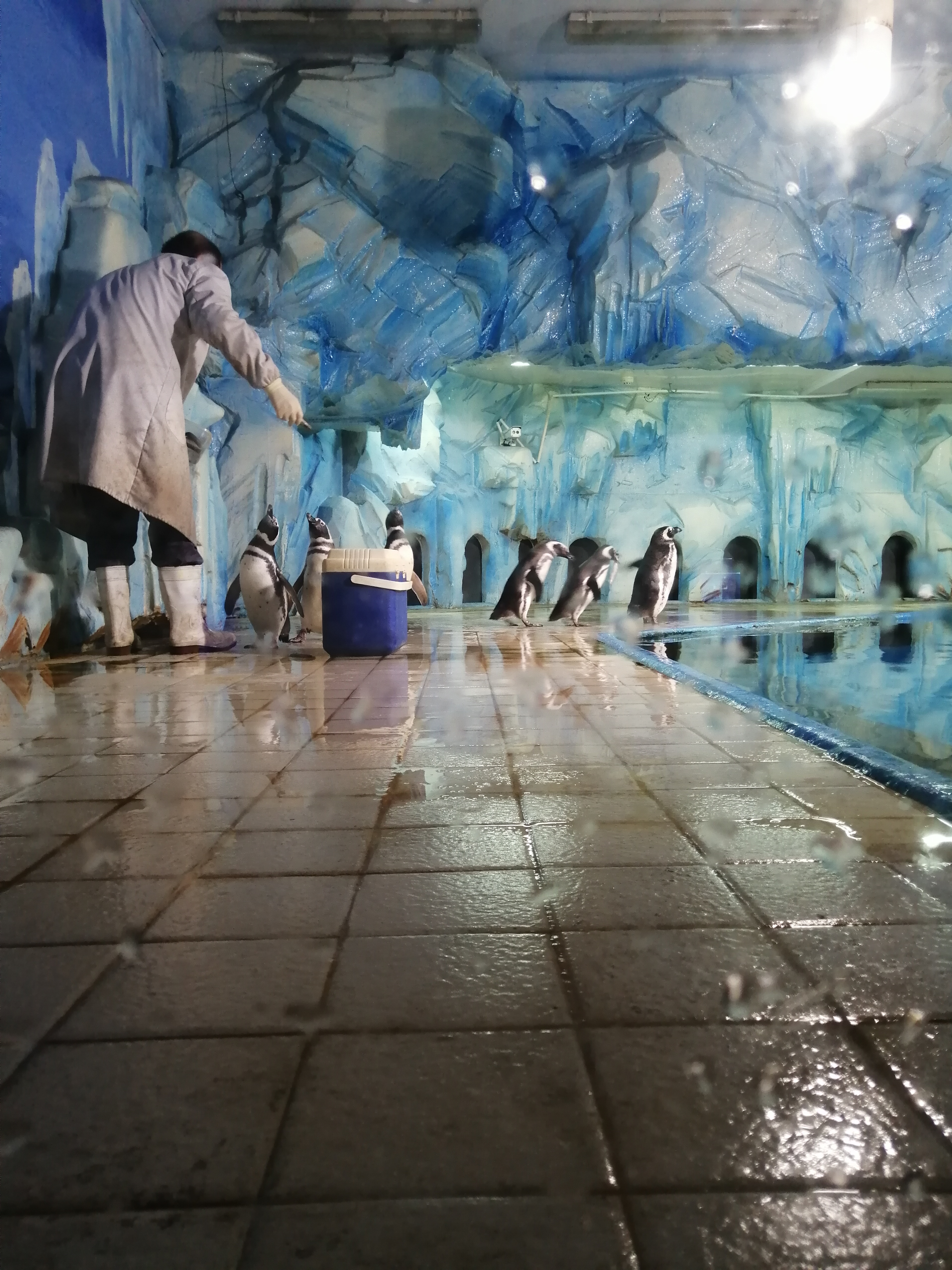 常州金鹰海洋世界19.9元,常州金鹰海洋世界开业