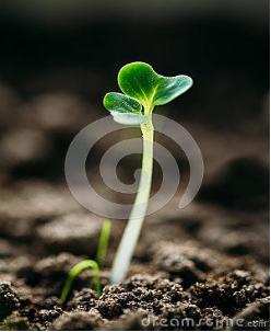 乱补雌激素引发乳腺癌,补雌激素能导致乳腺癌吗