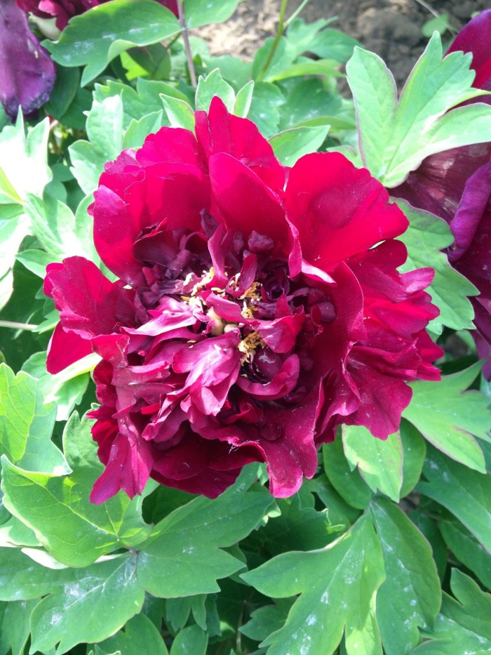 积极上进正能量简短格言短句,积极上进的正能量短句