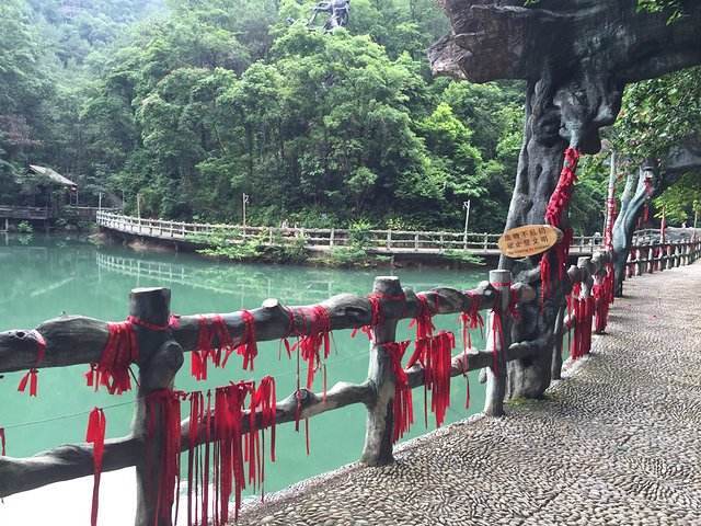 景区许愿池扔的硬币最后去哪了,游客投许愿池的钱都去了哪里