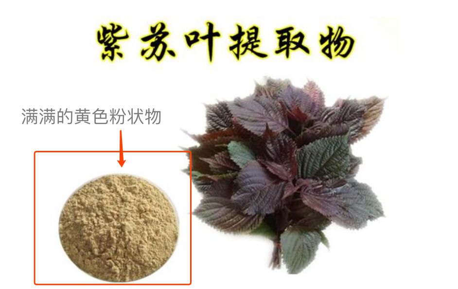 紫苏水本土版,紫苏水新版跟老版有什么差别