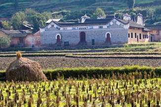 烫伤的我，回忆着美好农村生活