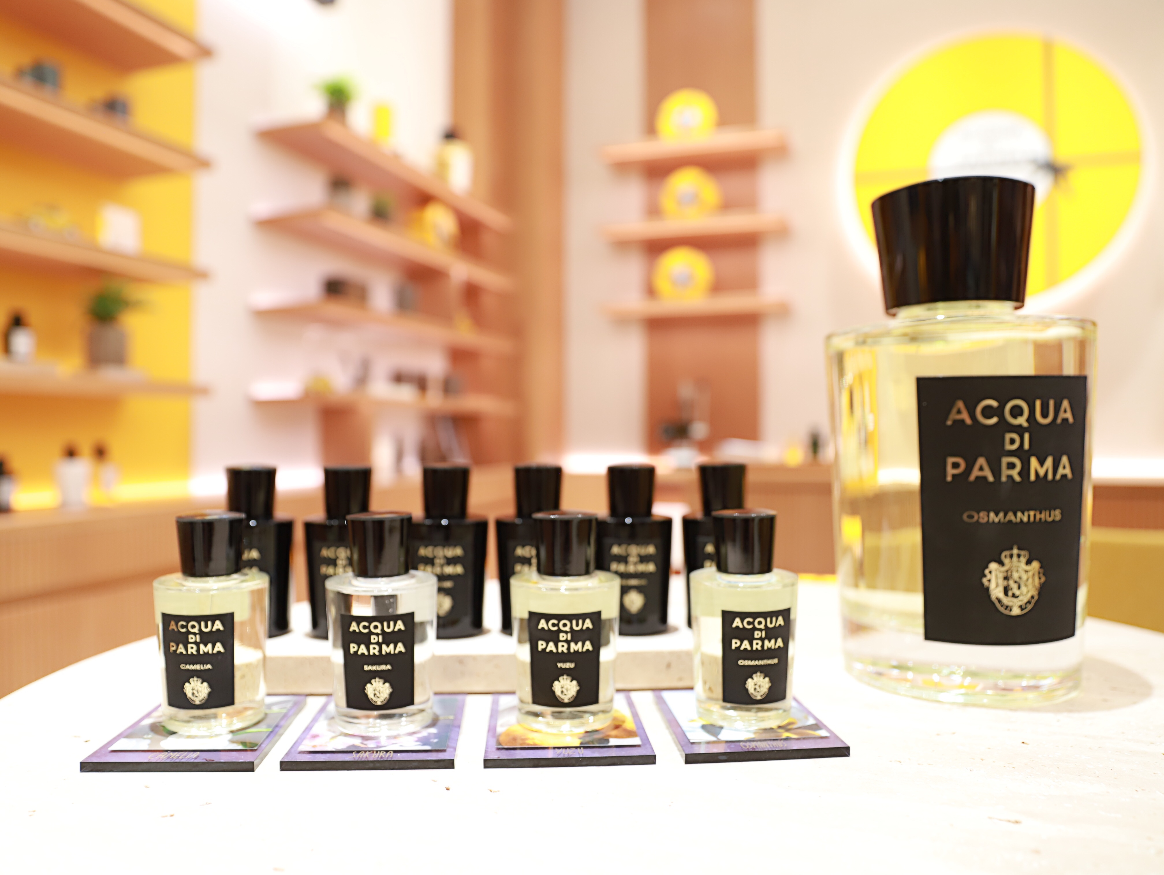 lvmh中国区总部在哪里,lvmh中国门店