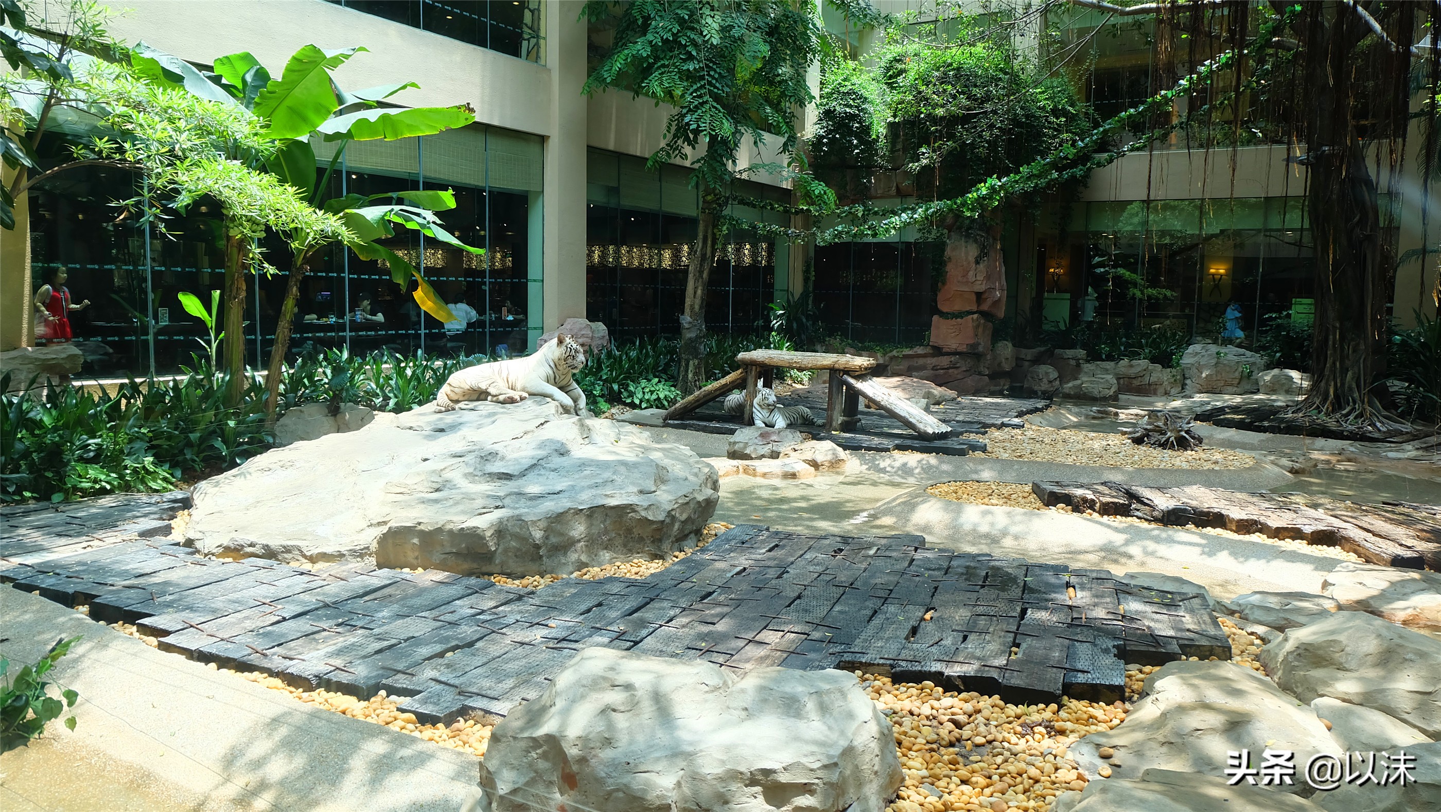 长隆野生动物世界游玩攻略,长隆野生动物世界带娃攻略