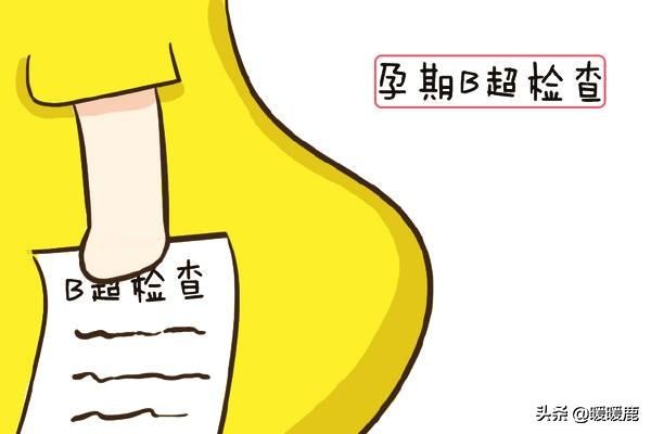 孕期如何通过b超看胎儿大小,三分钟看懂孕期b超图