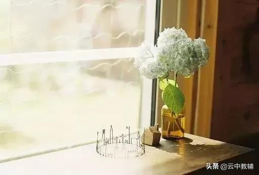 如何写好作文的方法和技巧套路,作文怎么才能写得新颖