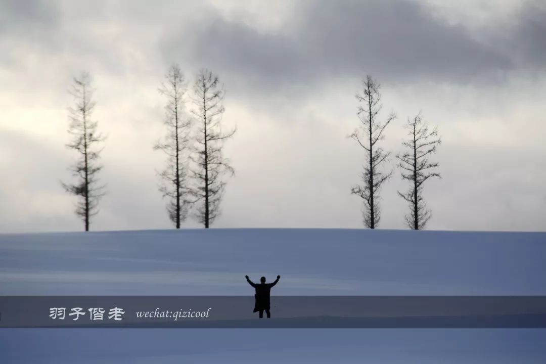 老实说，这一趟北海道就是为了拍好看的照片去的