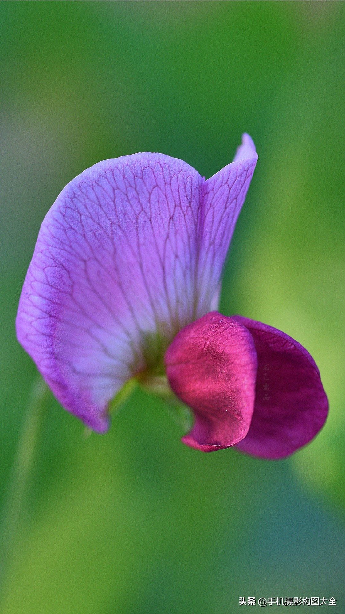 把你的相片做成动态图片,试试你的照片动漫效果