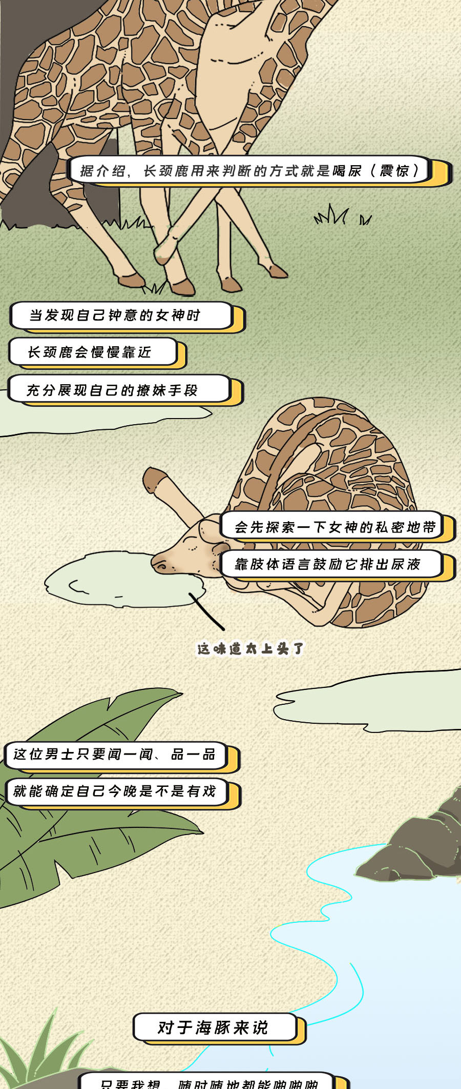 那些羞羞的事：动物是如何啪啪啪的？