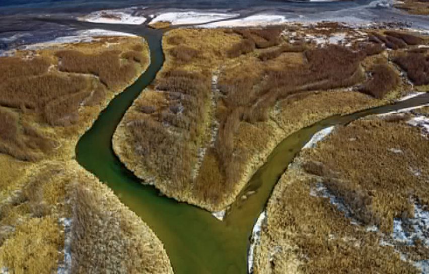 房地产新房渠道的关键所在