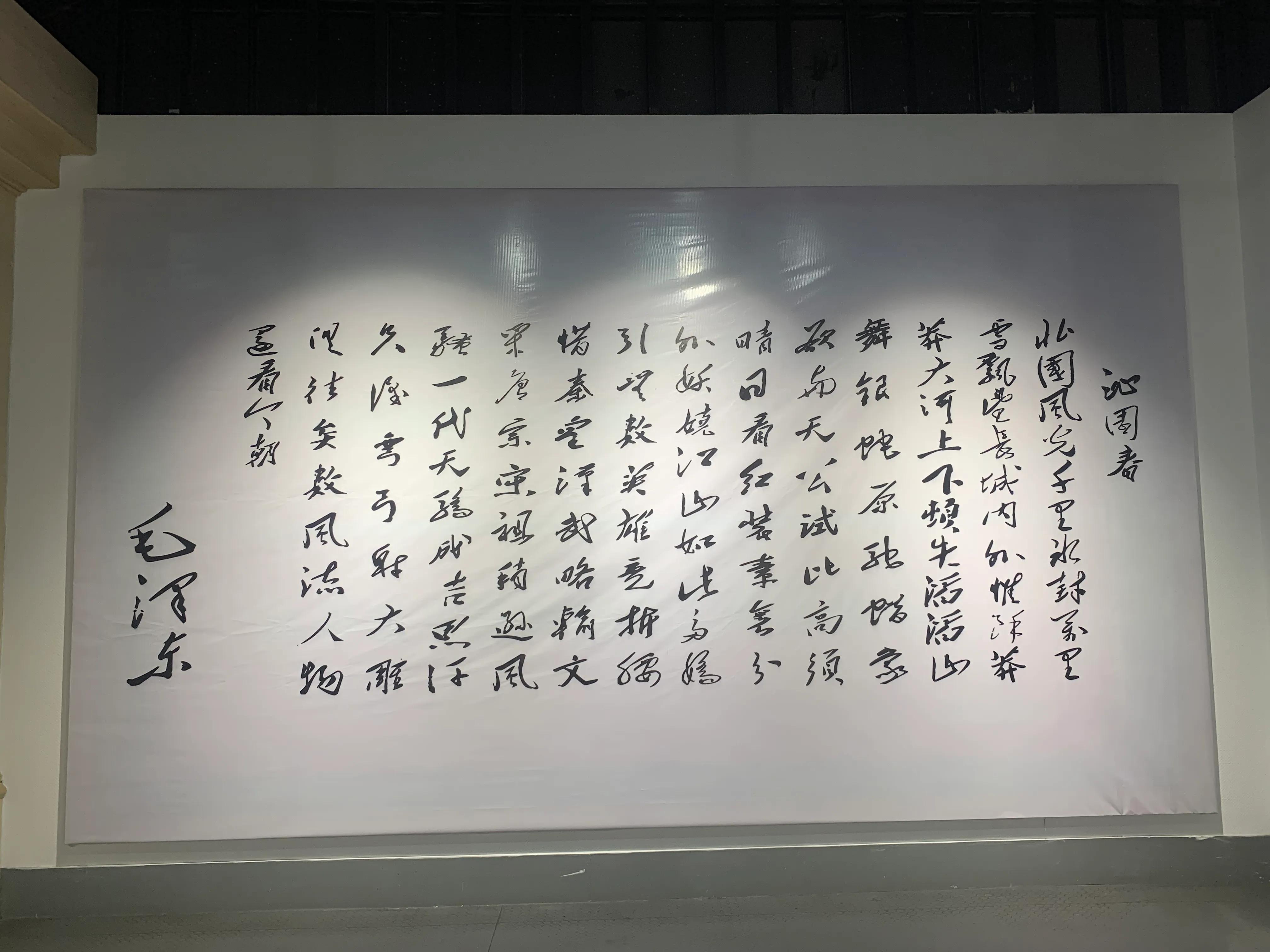 军事迷参观坦克,东方绿舟军事