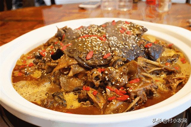 养殖甲鱼的营养价值及功效与禁忌,菜市场养殖的甲鱼有营养价值吗