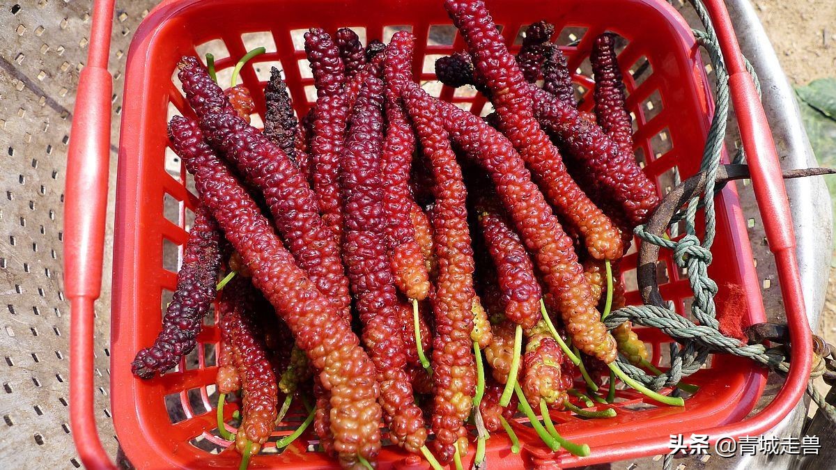 开春适合吃什么蔬菜和水果,开春了见到这5种水果别手软