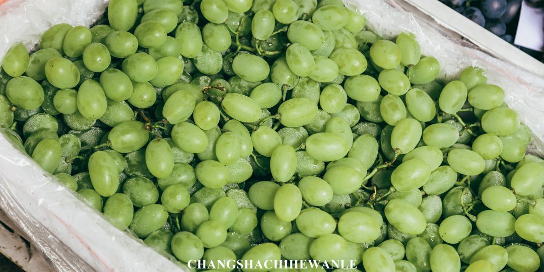 长沙红星水果批发市场水果价格,长沙红星水果批发市场代卖荔枝