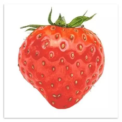 超写实绘画真实吗,超写实的植物绘画