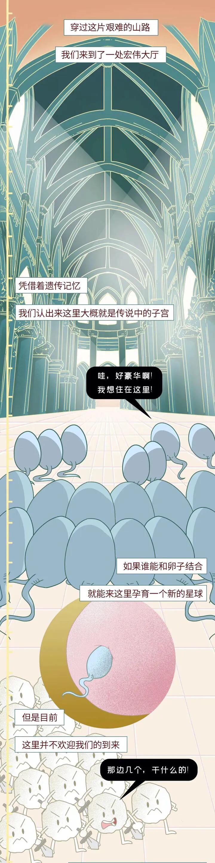 绮惧瓙杩涘叆浜轰綋1灏忔椂鍙樺寲,绮惧瓙杩涘叆浜轰綋48灏忔椂鍙樺寲