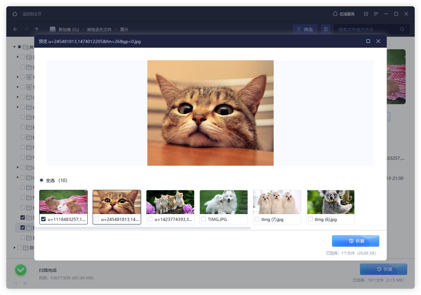 怎么恢复损坏文件,如何恢复jpg损坏的照片