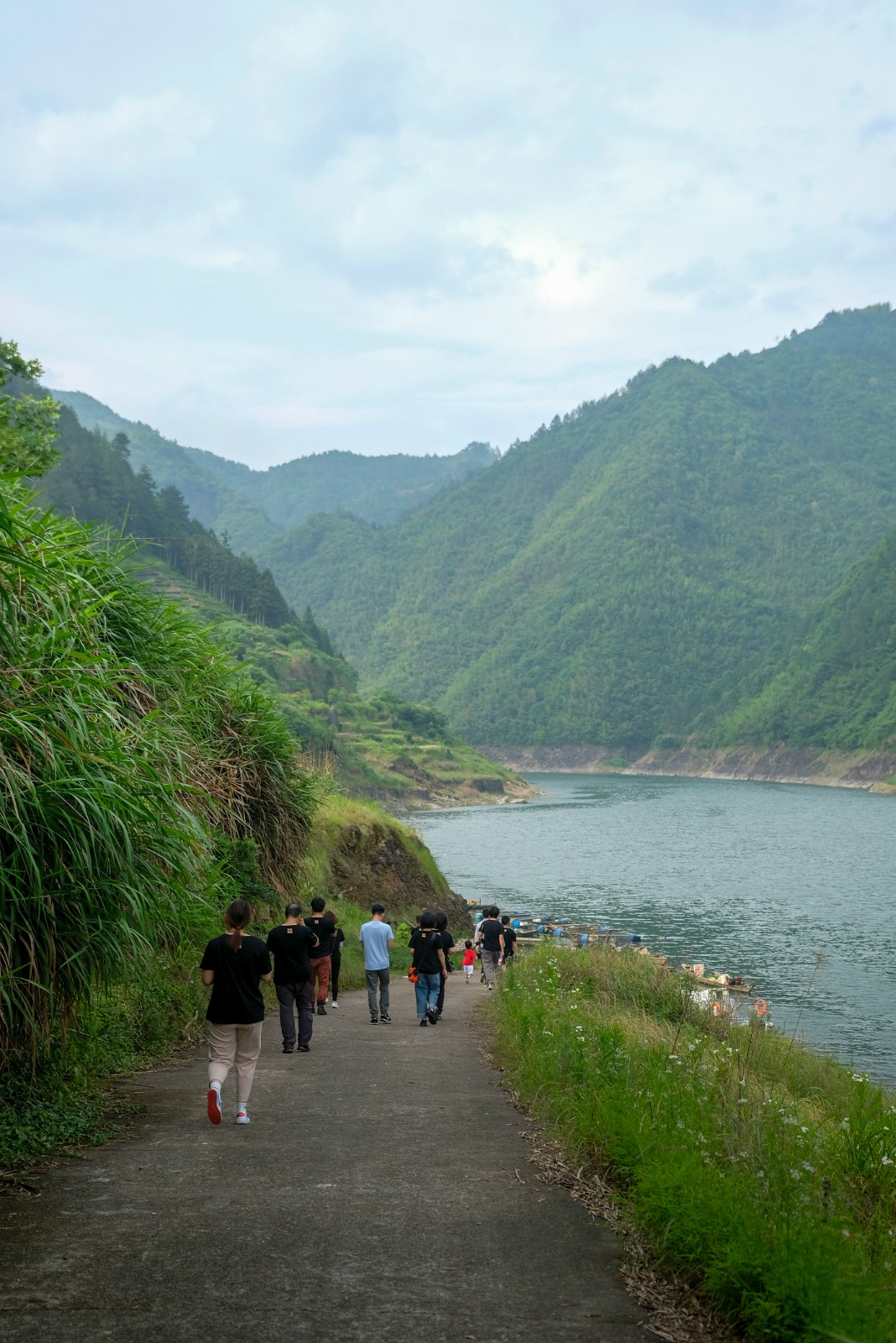 遂昌仙峡湖网红绿道在哪里,遂昌仙峡湖
