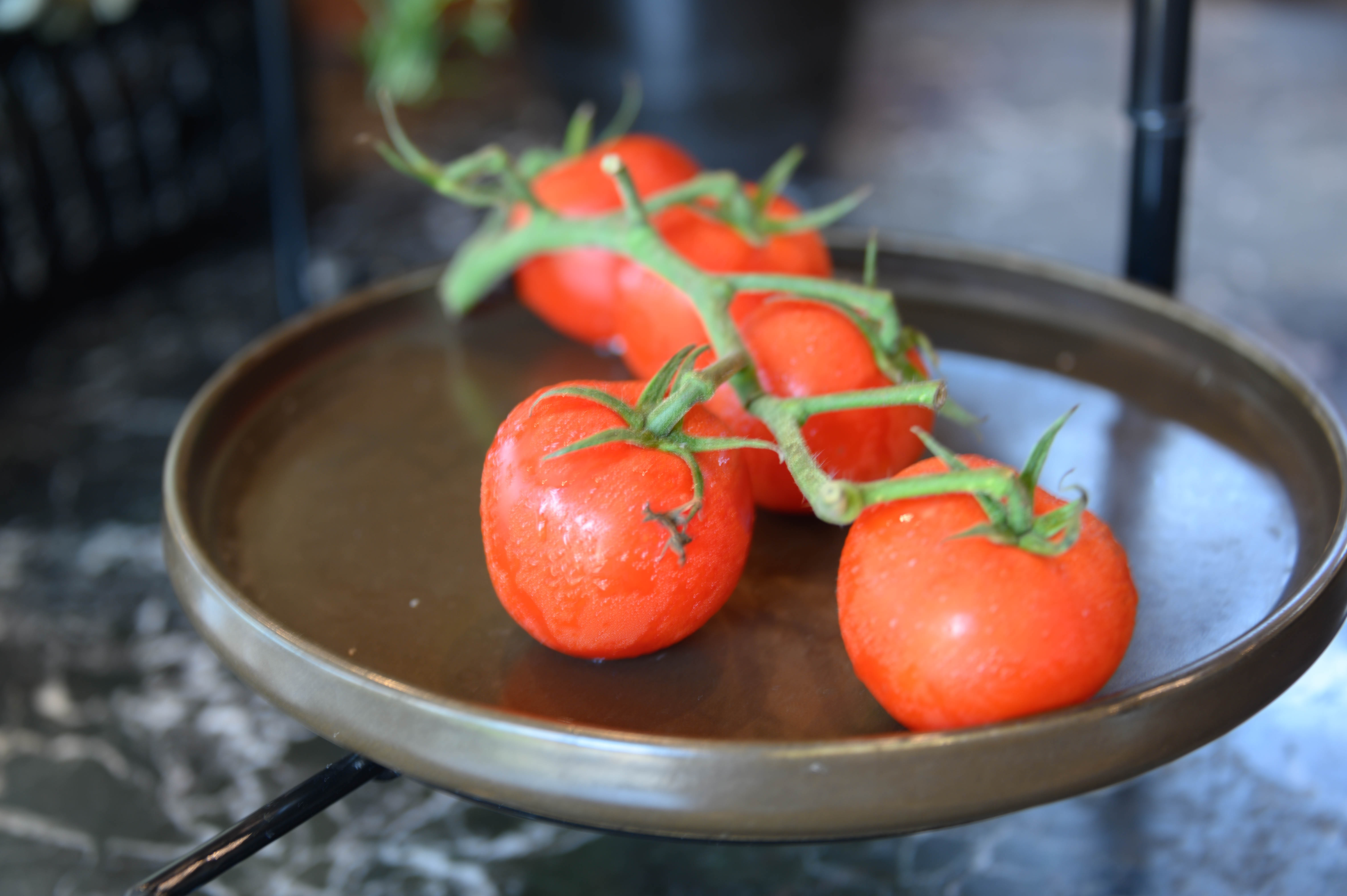 知道乌村吗，孩子来了就不愿离开，住乌村去西栅可以省150元