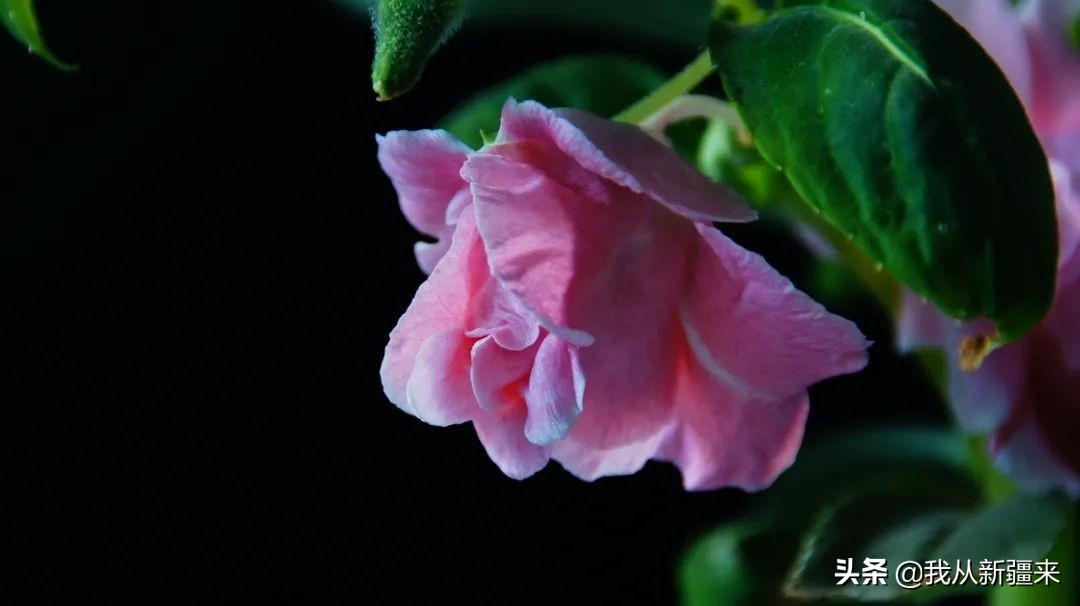 娴峰褰╁,娴峰鍖栧