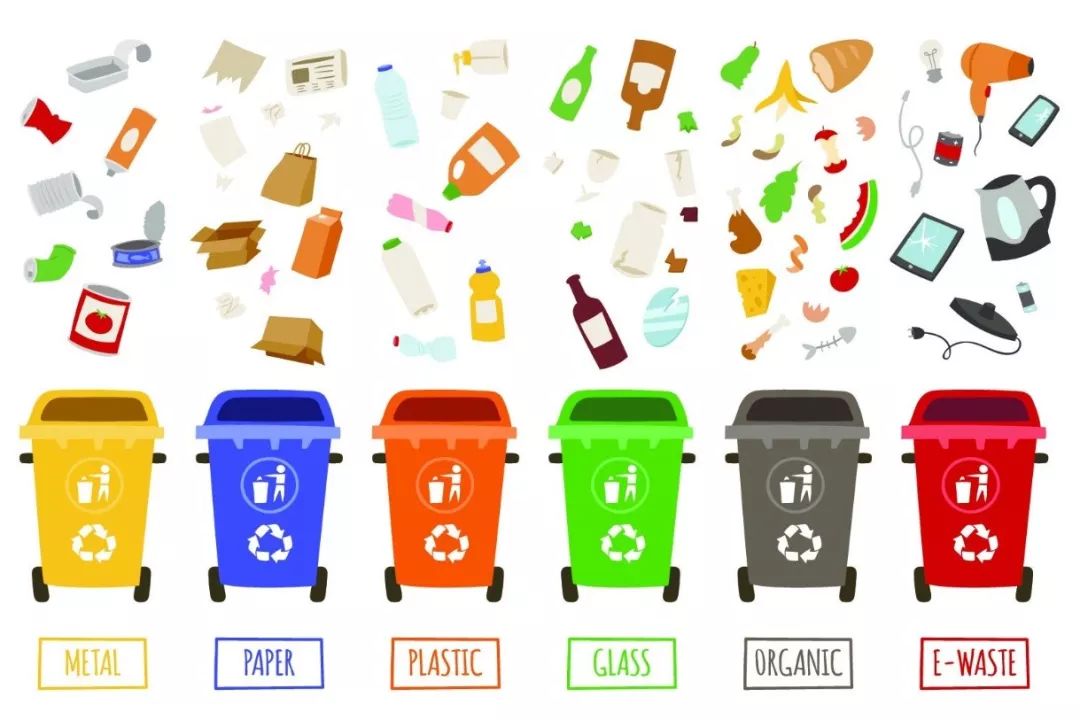 上海垃圾分类天价罚单,上海垃圾分类开出首张罚单