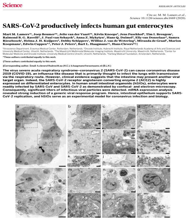 中医科学院任丽丽,任丽丽