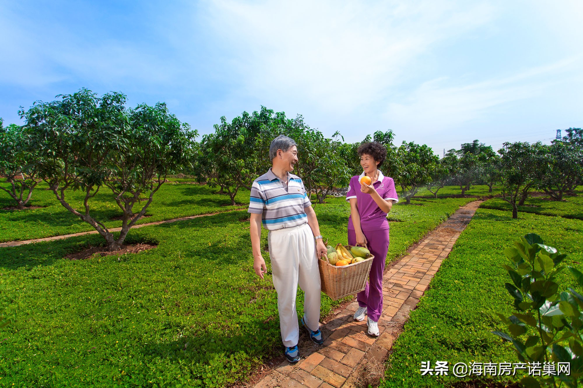 到海南买二手房,澄迈富力红树湾怎么去