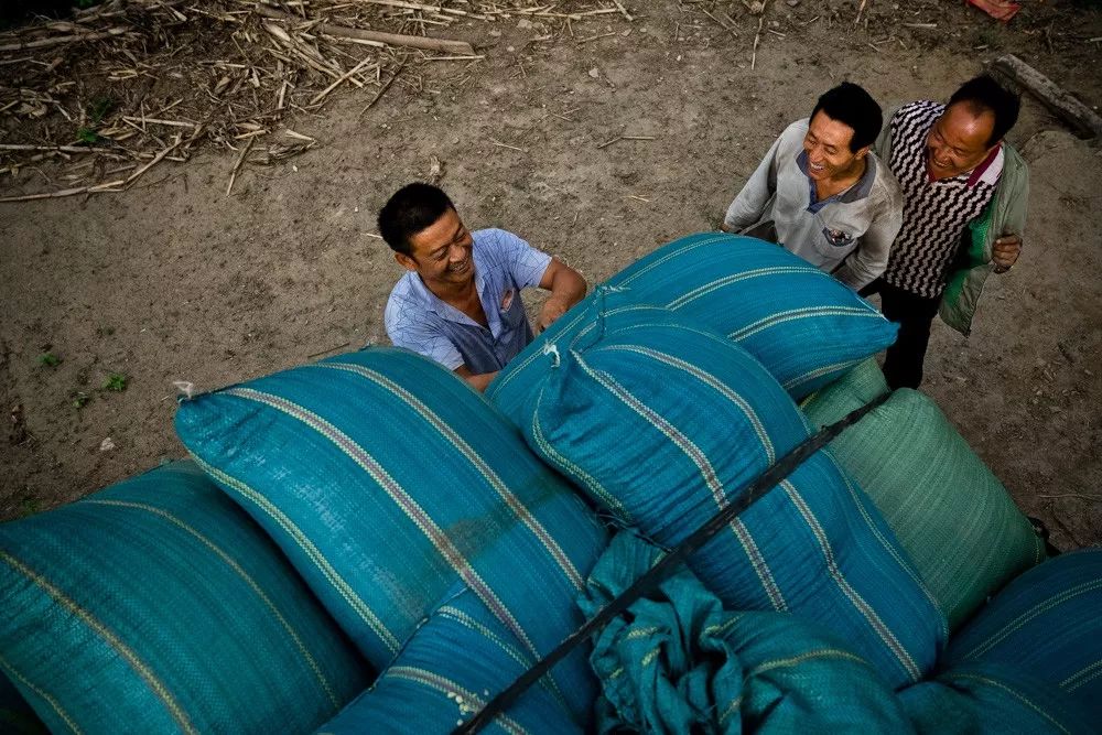 拼多多如何做商业模式,想做拼多多有几种模式