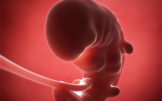 孕期多吃鱼的好处就不用多说了吧,孕早期吃鱼对胎儿发育有什么好处