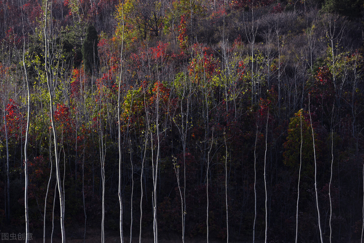 运城市十三县市有哪些,运城十三个县市有哪些