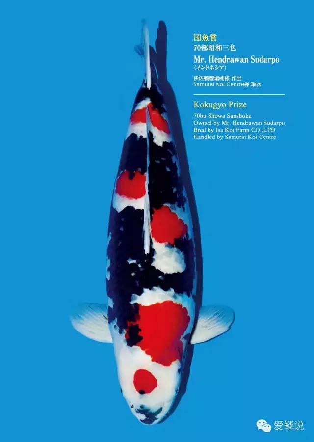 拒绝潜规则后如何处理,鱼池泡沫多最简单的处理方法