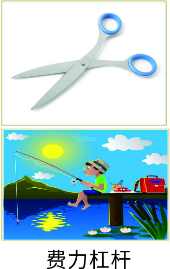 科学小实验天平,六年级科学实验探究杠杆平衡规律