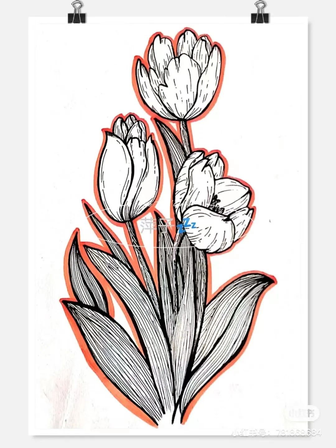 花卉简单线描创意画,花草线描画装饰