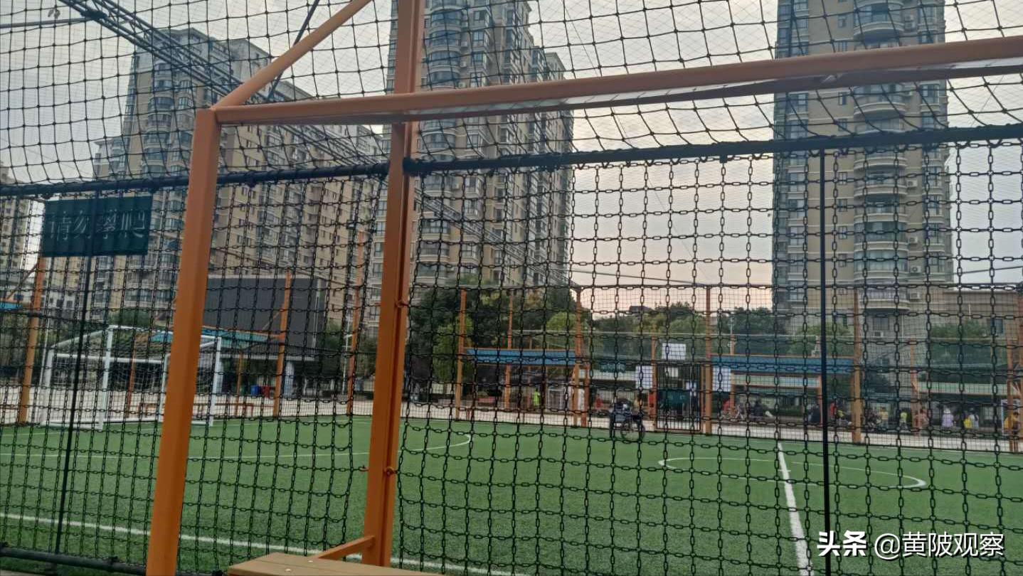 阳逻体育中心和武汉体育中心,武汉阳逻大型体育中心