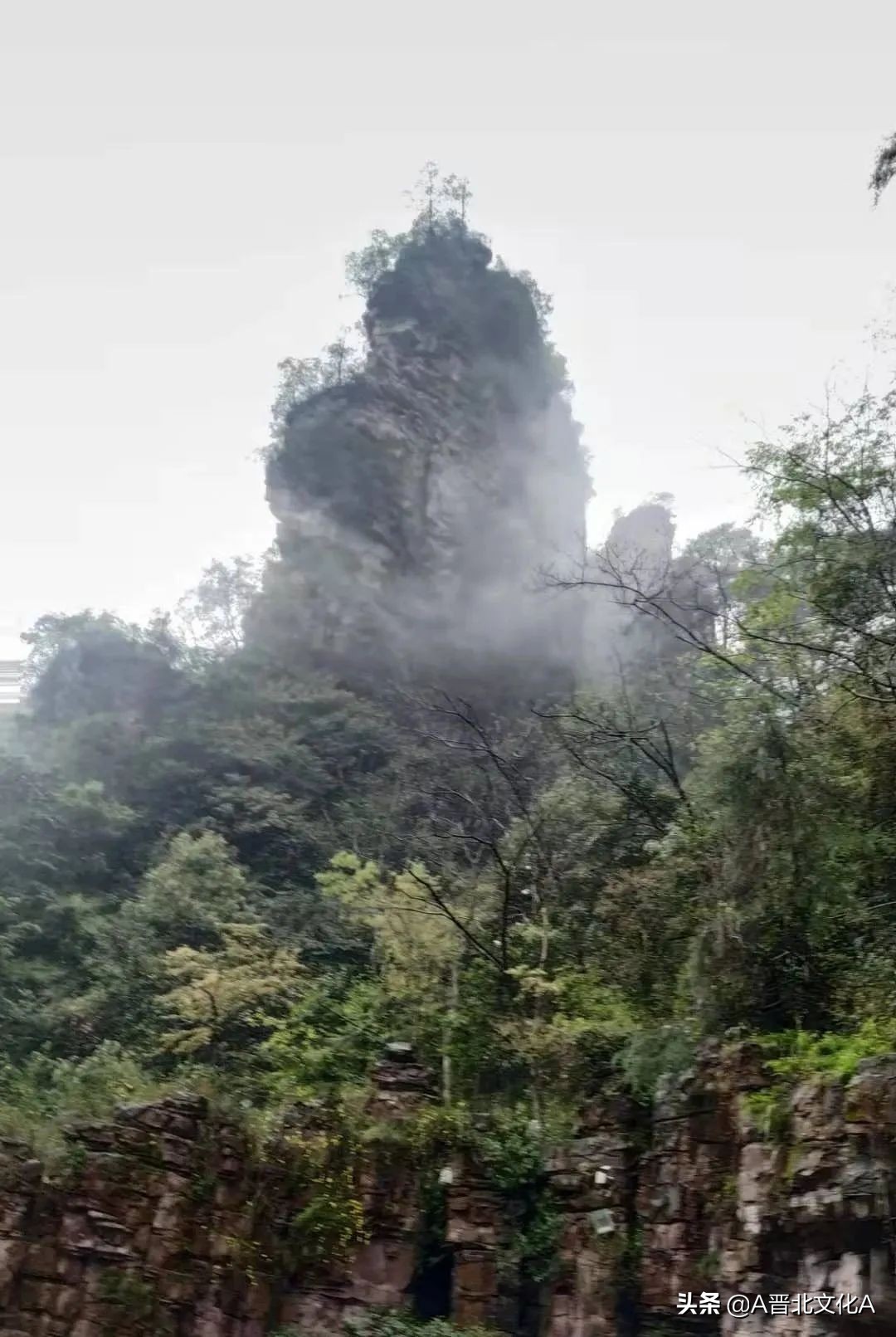 河曲赵云生｜神游张家界